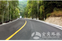 G213兰磨路五指山隧道出...