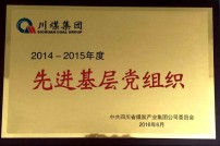 2016年评为先进基层党组织