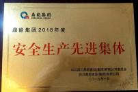 2019年度被鼎能集团评为安全...
