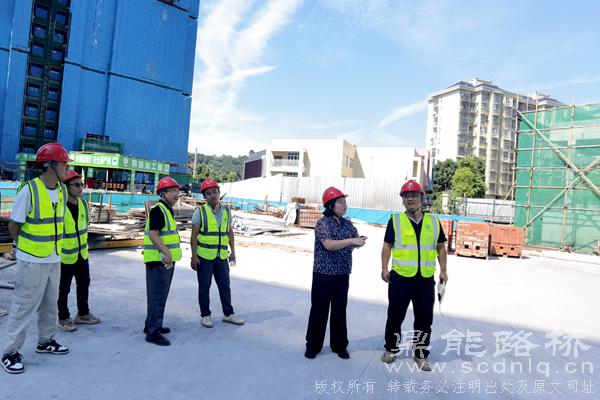 鼎能路桥到龙船溪项目检查指导工作